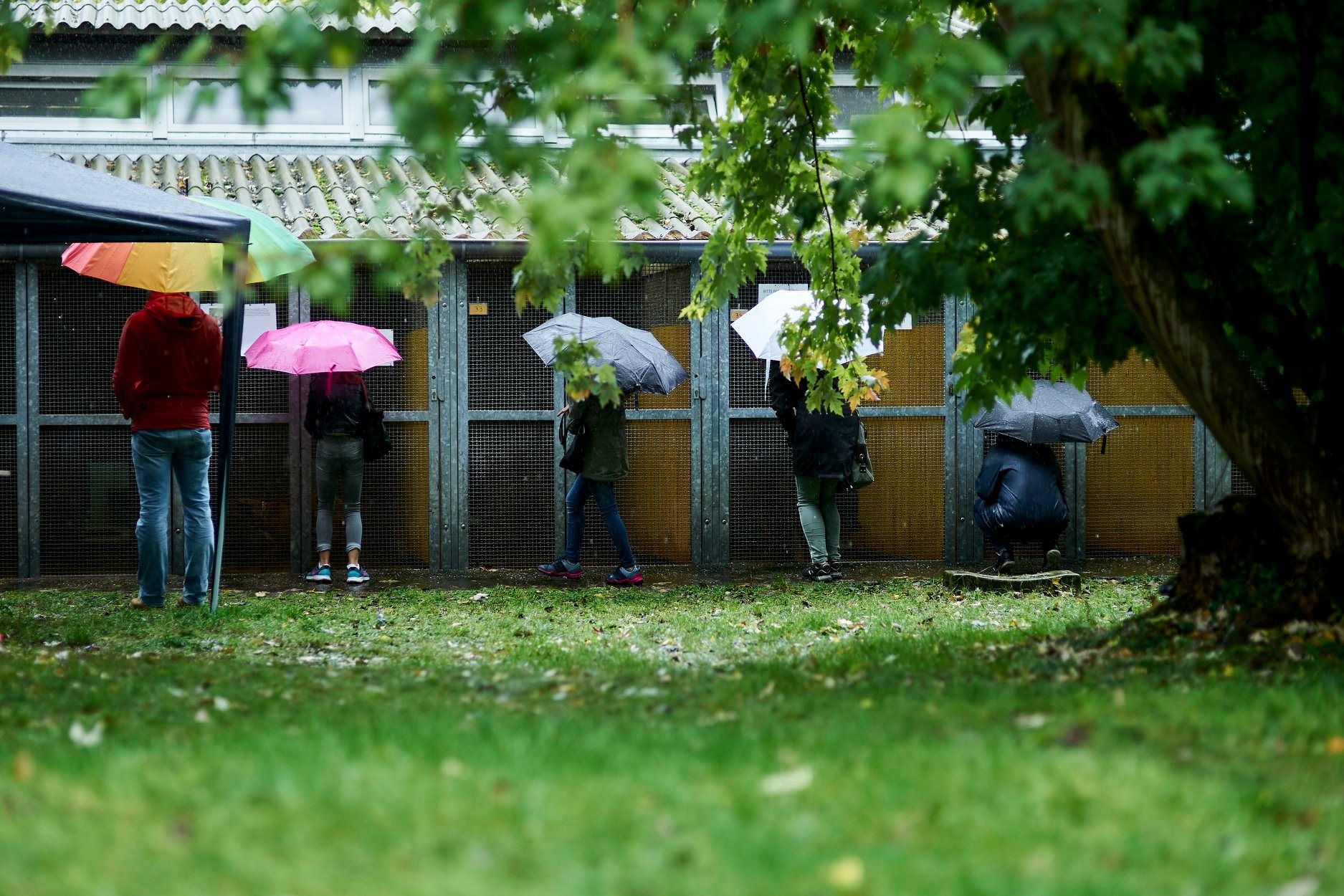 Tag der offenen Tür 2019