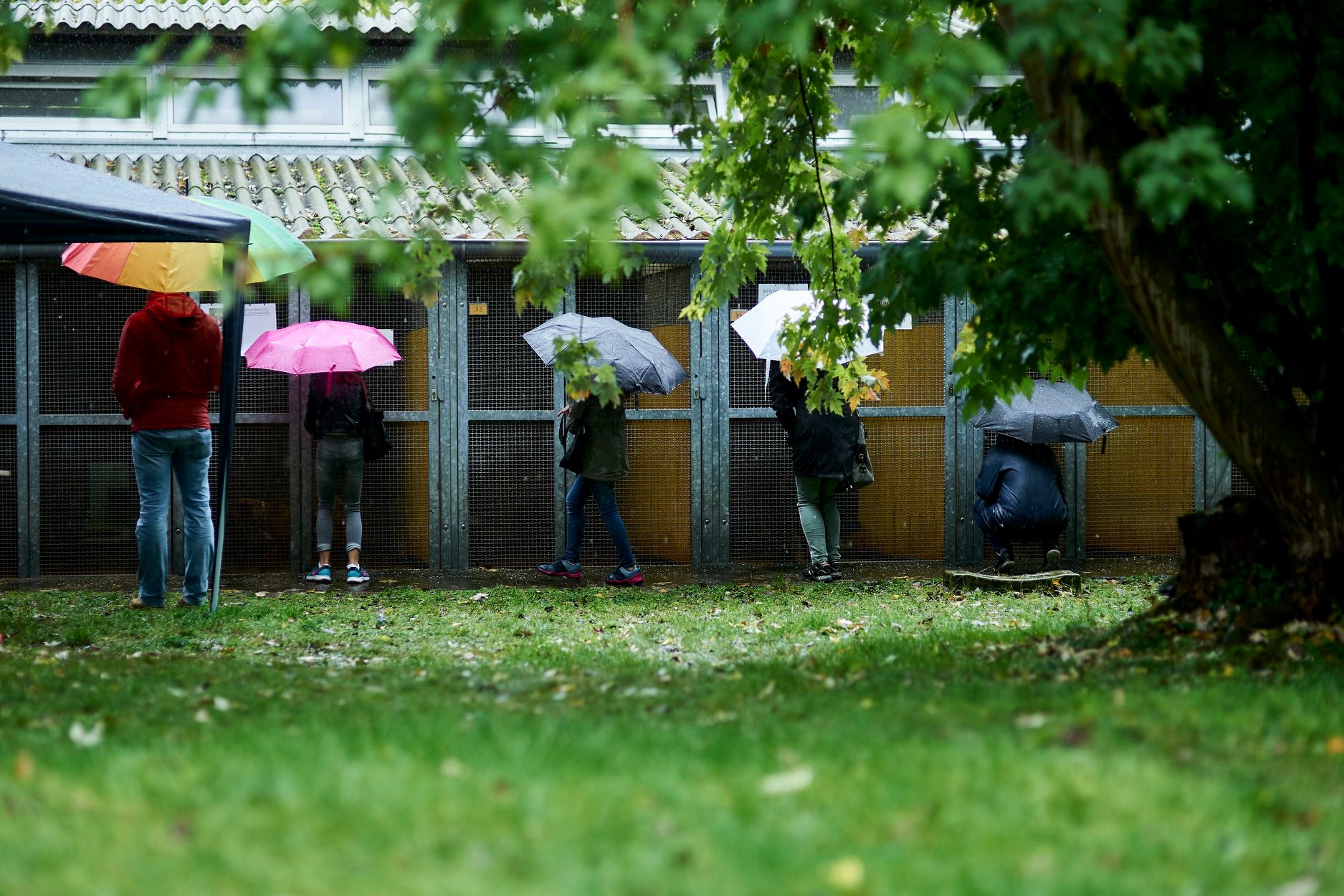 Tag der offenen Tür 2019