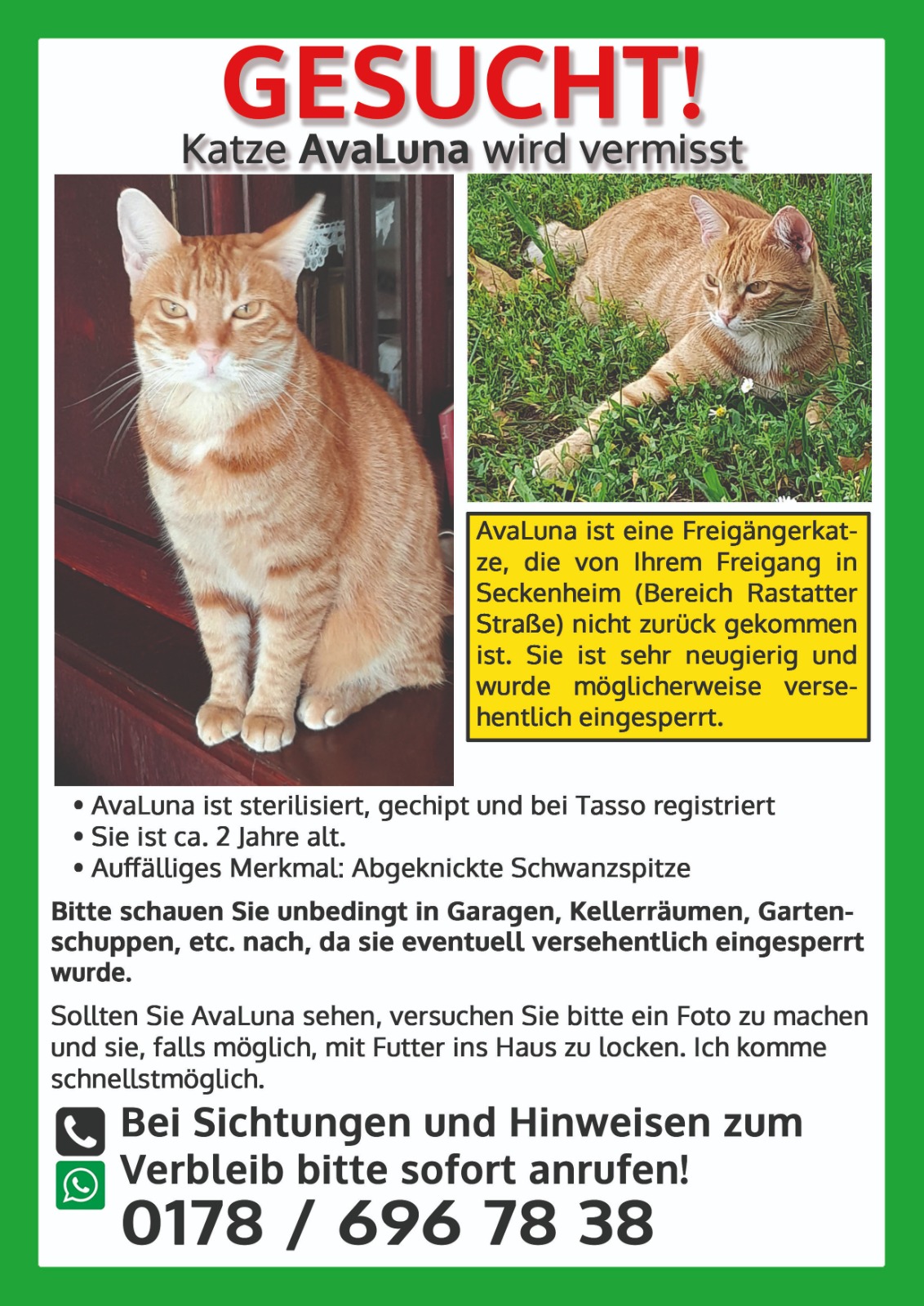 Vermisst: Katze AvaLuna in 68239 MA-Seckenheim