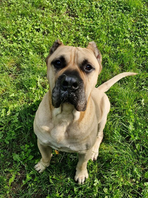 Tyson