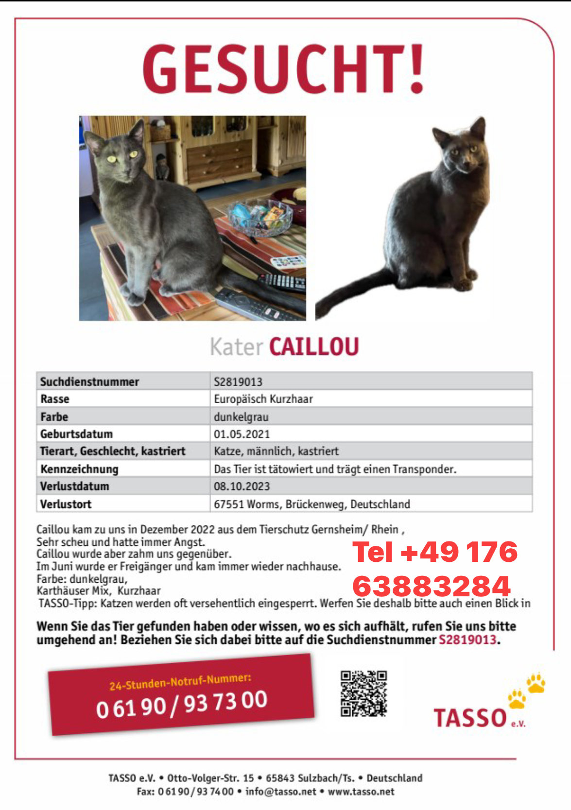 Vermisst: Kater Caillou in 67551 Worms-Wiesoppenheim