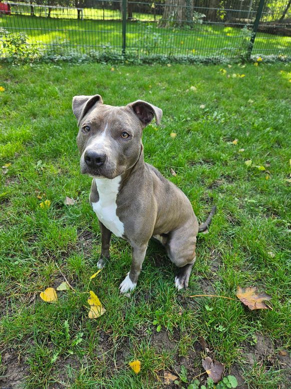 Bella