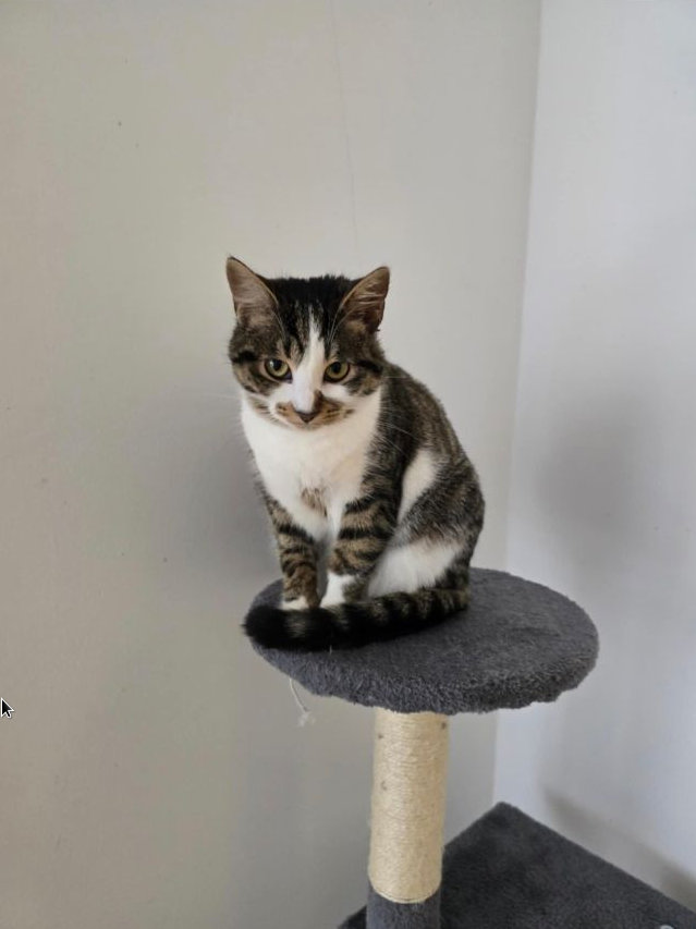 Pinnwand: Luna & Ran