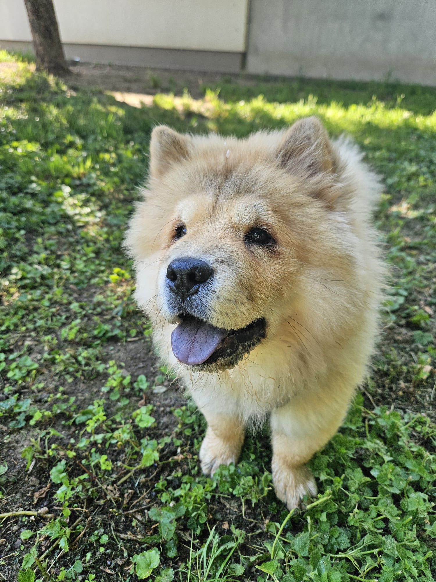 Mali