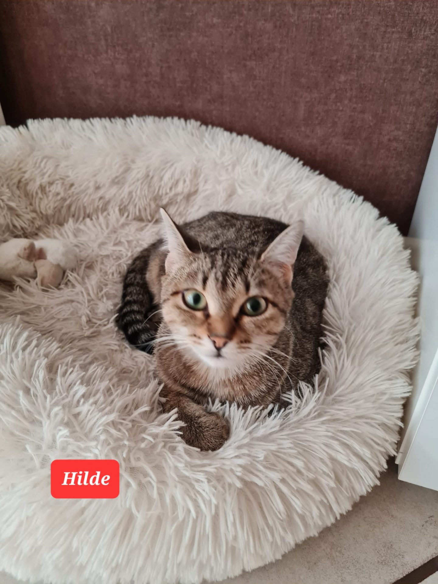 Hilde, Uschi, Bärbel