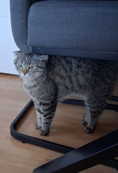 Pinnwand: Nala & Meltem
