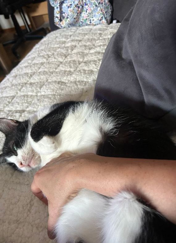 Pinnwand: Otto & Luna
