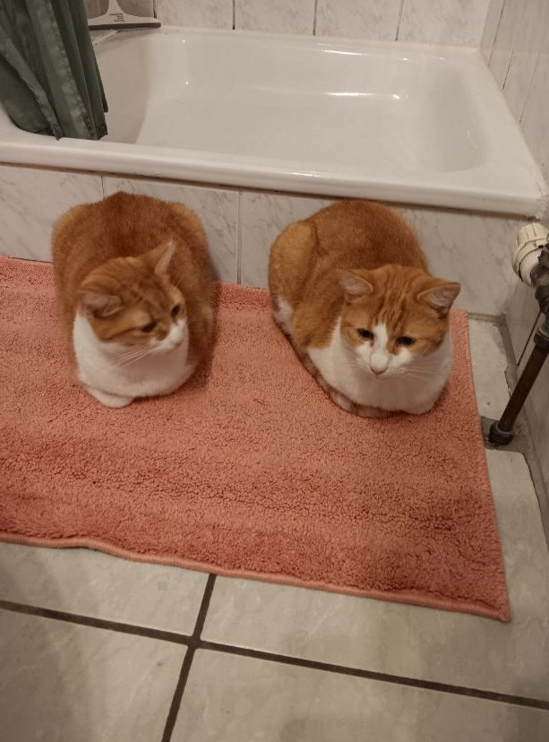 Pinnwand: Rudi & Rüdiger