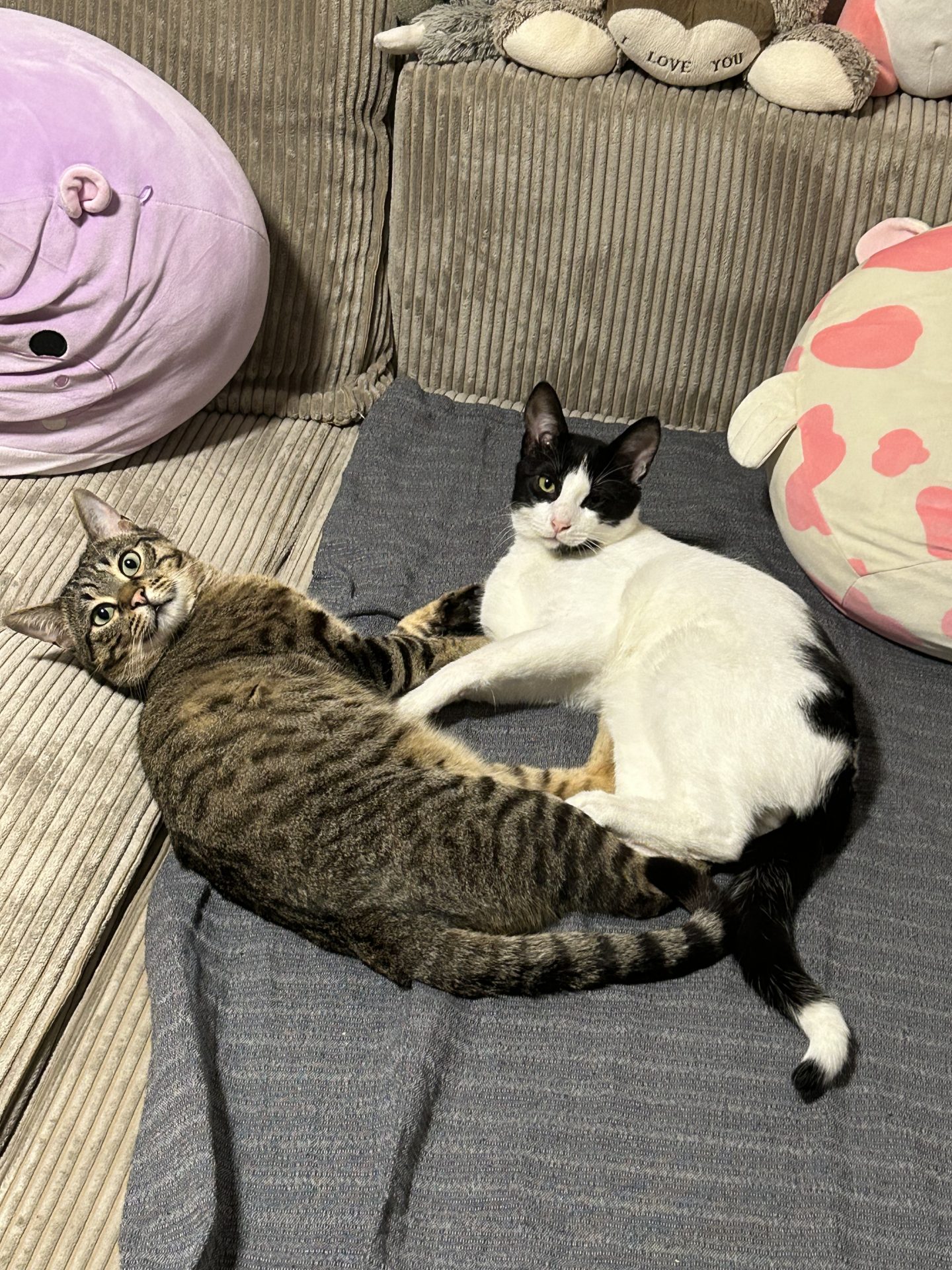 Happy End: Pino und Richard