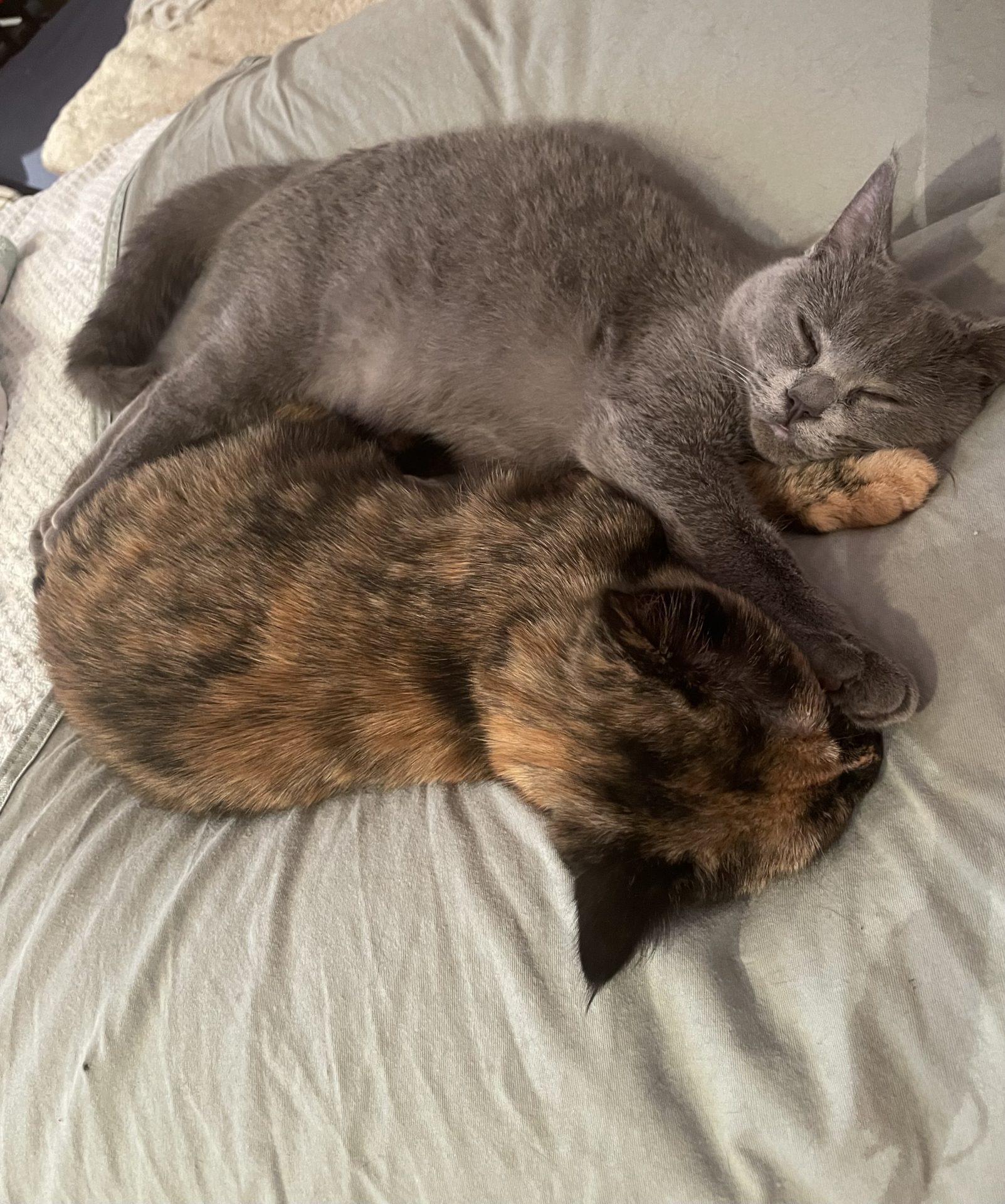 Happy End: Elsa, Pippi und Lotta